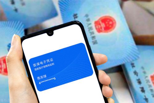 泰康24小时医保套取实操指南：老司机分享高效安全操作流程